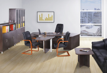 Кабинет руководителя Приоритет