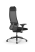 Кресло для руководителя Метта SynchroSit 10 B1-111D - X2+UMF(X1) /Ub00/Wh00/D02P(M24.B11.G19.W02)